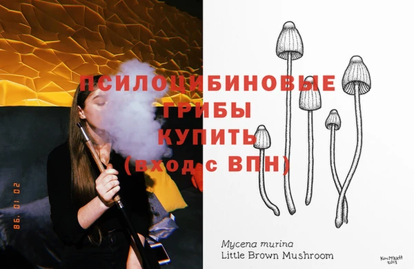 гидра Сясьстрой