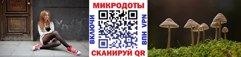 Псилоцибиновые грибы мухоморы Горно-Алтайск