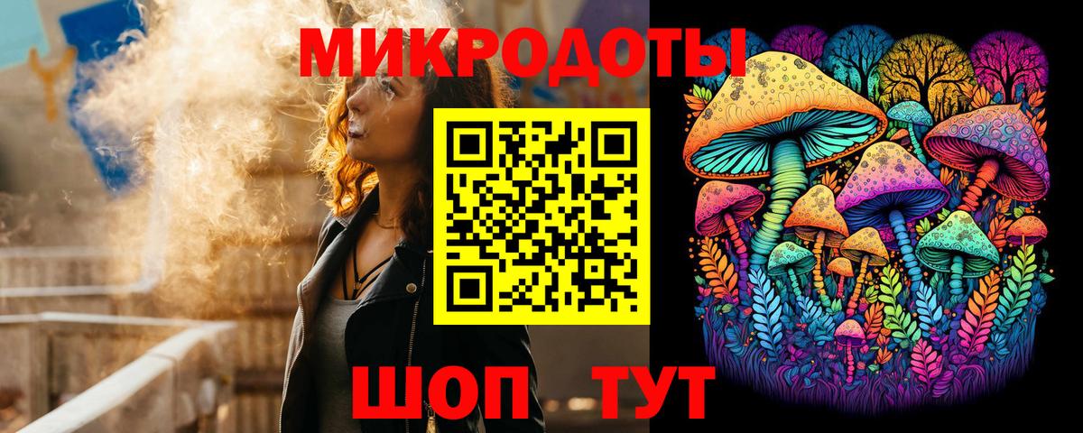 ГАШ Горно-Алтайск