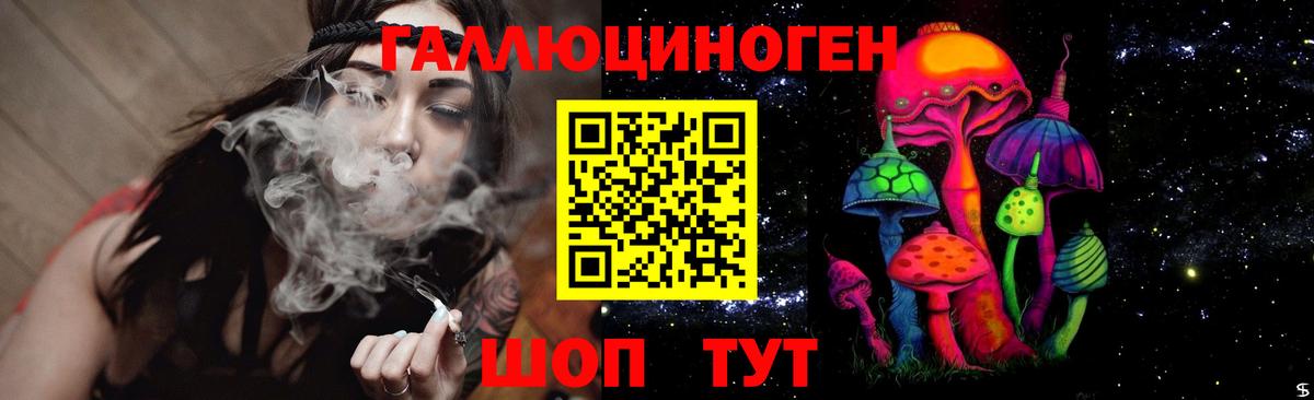 Галлюциногенные грибы мухоморы Горно-Алтайск